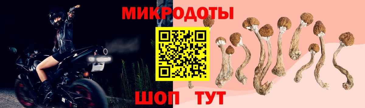 Галлюциногенные грибы мухоморы  Вход с VPN  Омск 